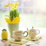 Daffodils spring style