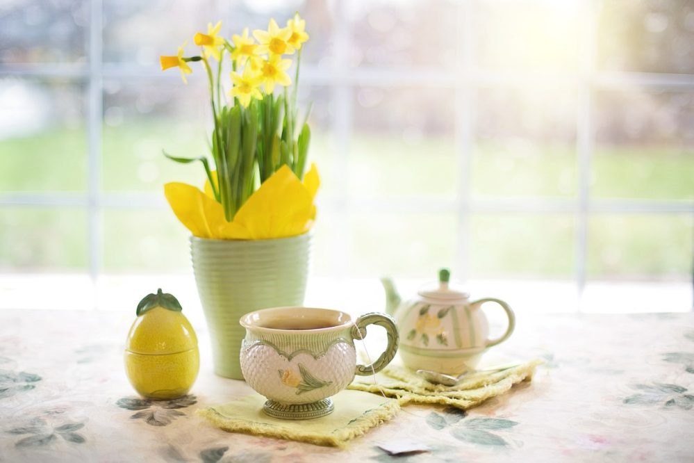 Daffodils spring style